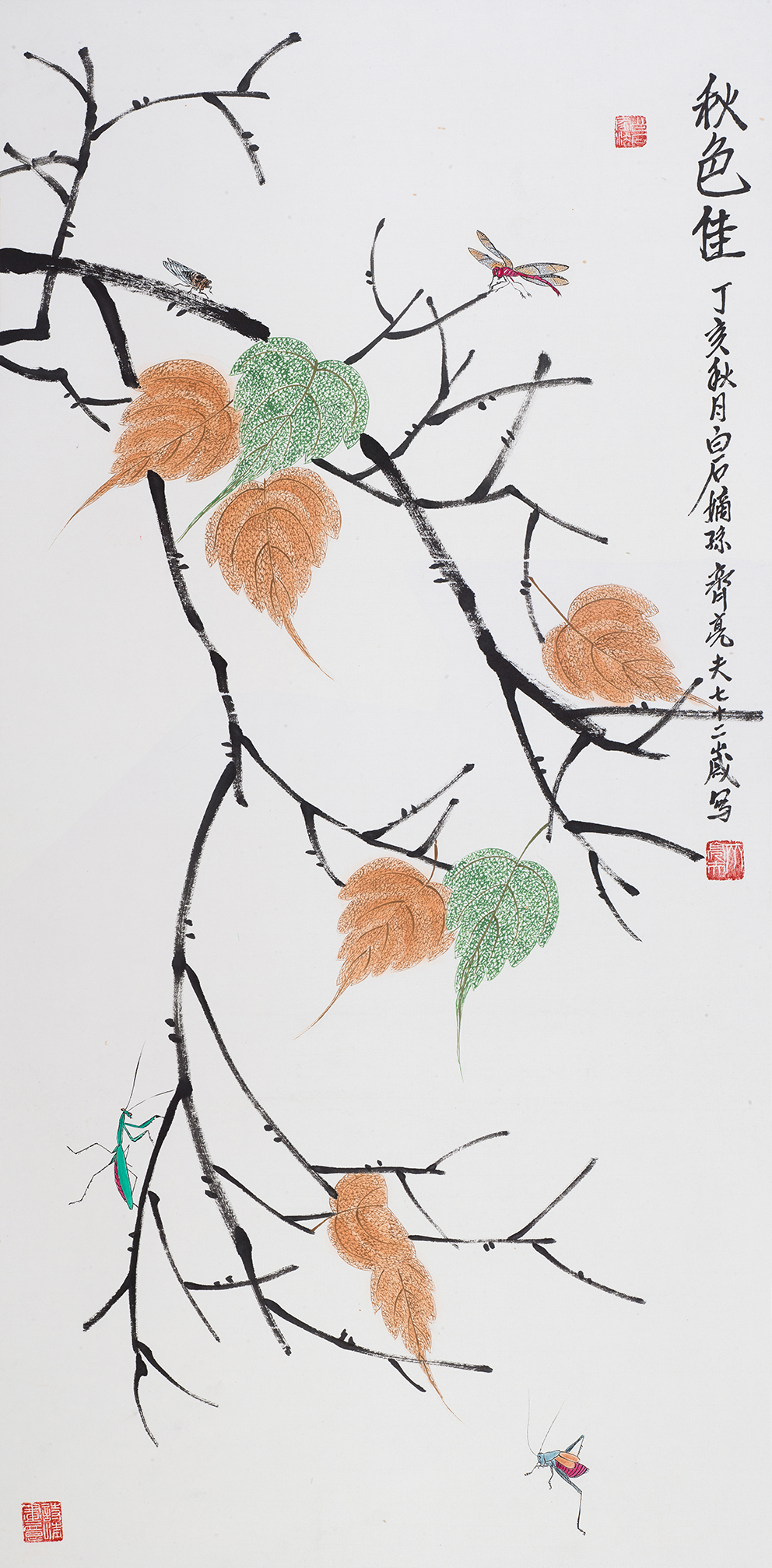 秋色佳 YC036