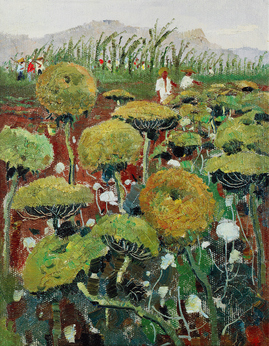 胡萝卜花72/2008