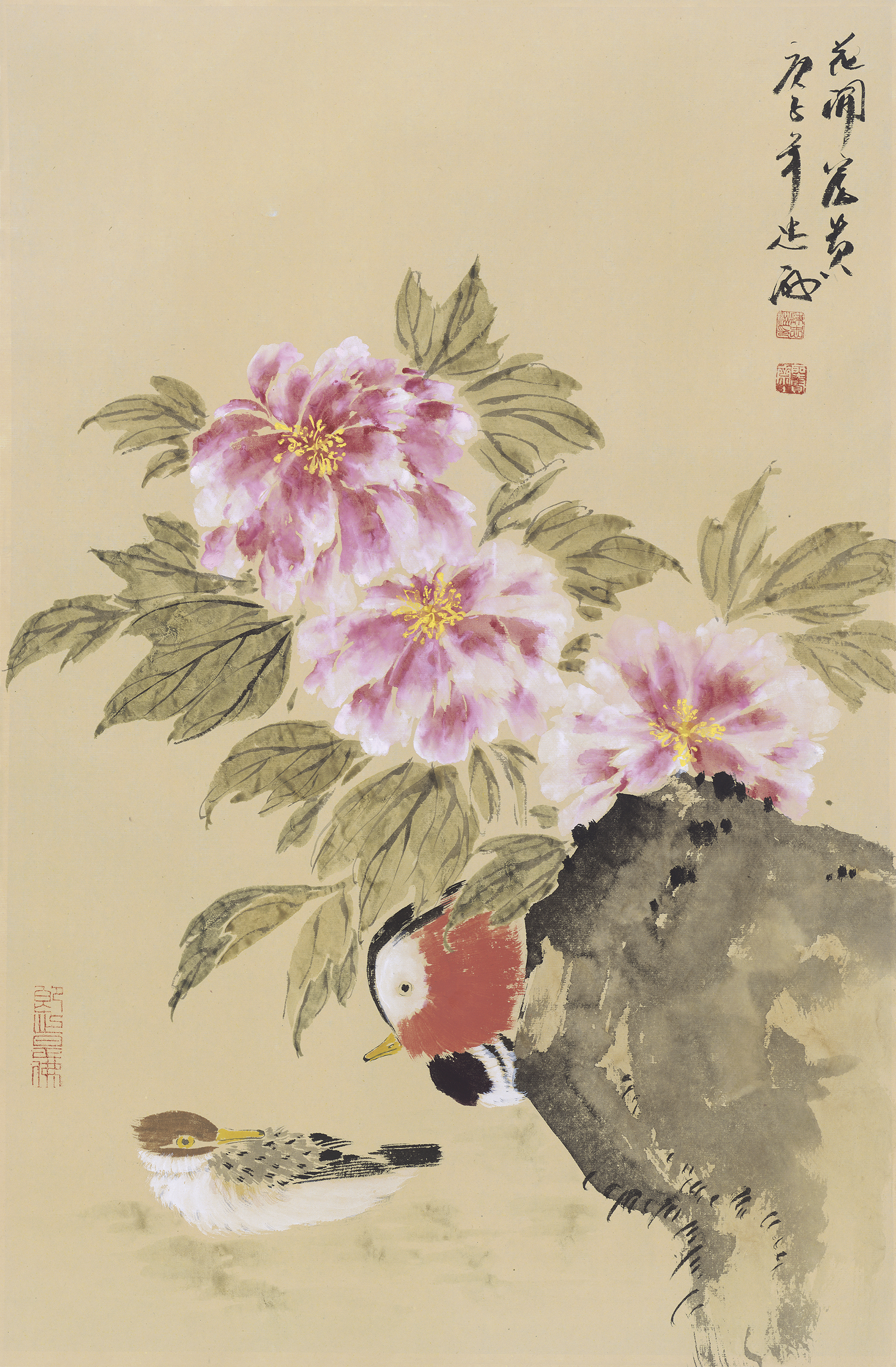 花开富贵