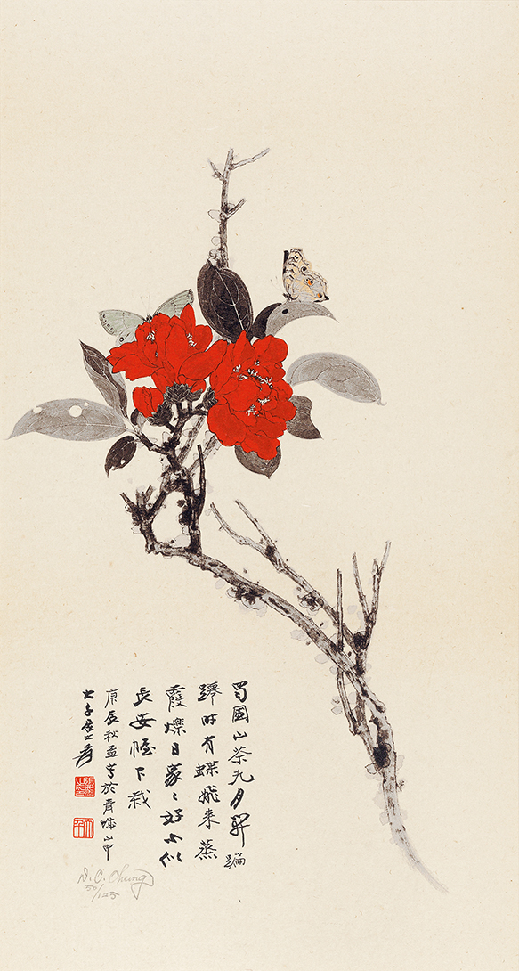 山茶花50/125