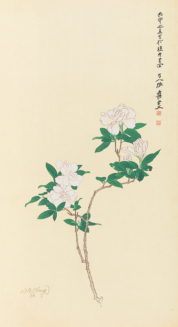 桅子花开EA
