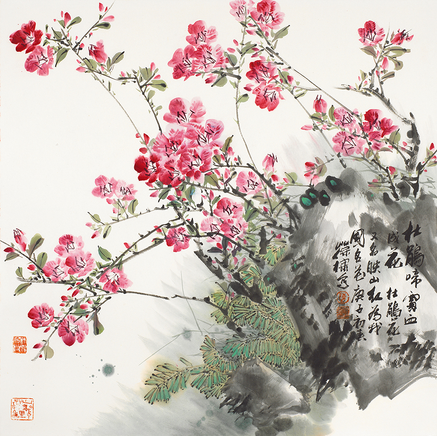 杜鹃花