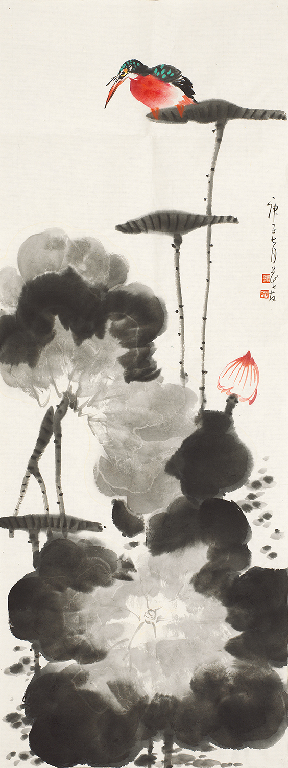 荷花翠鸟