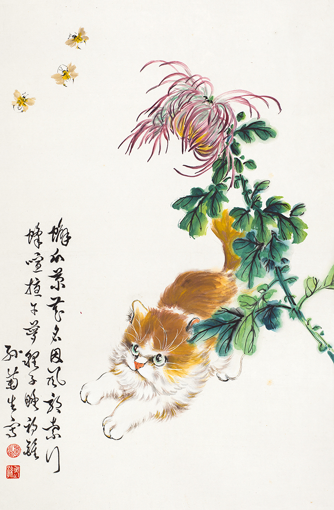蟹爪菊花名