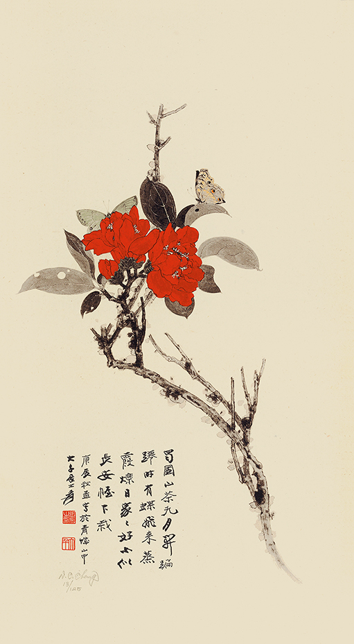 山茶花13/125