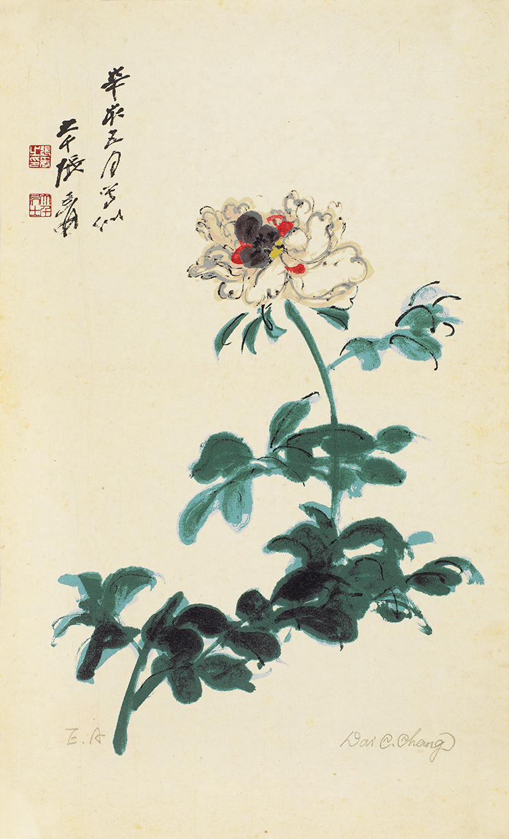 辛亥牡丹EA