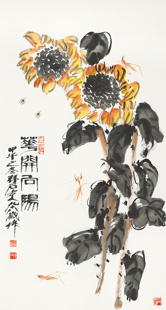 葵开向阳