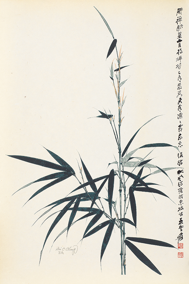 竹节节高EA
