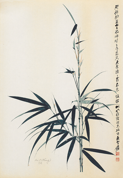 竹节节高EA