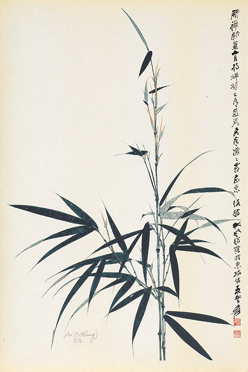竹节节高EA