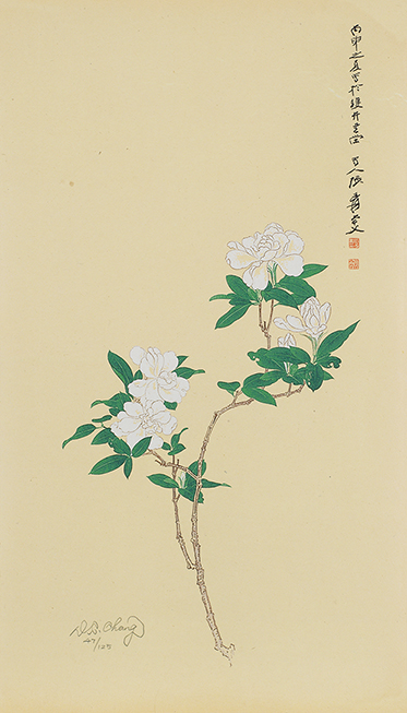 栀子花开47/125