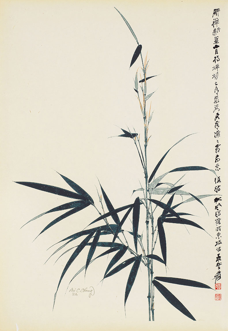 竹节节高EA