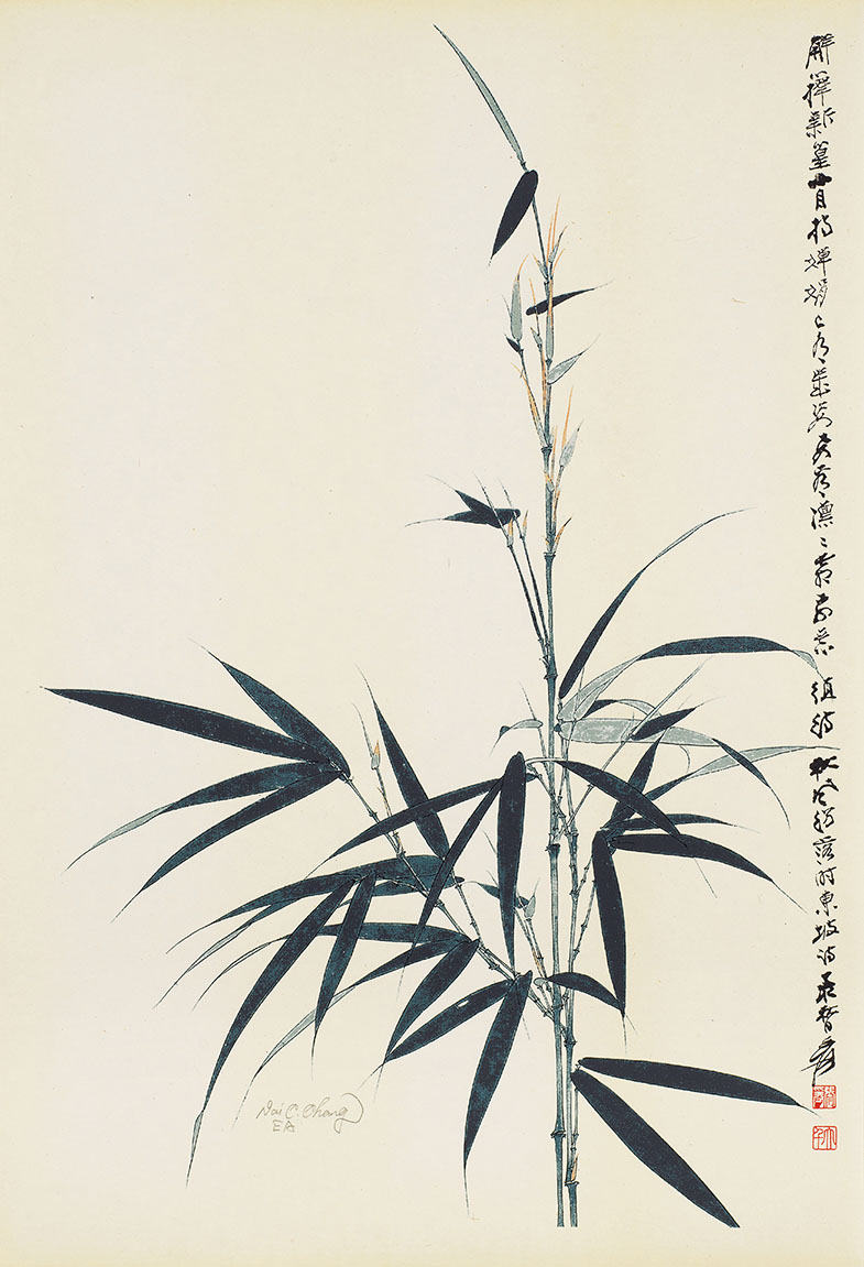 竹节节高EA