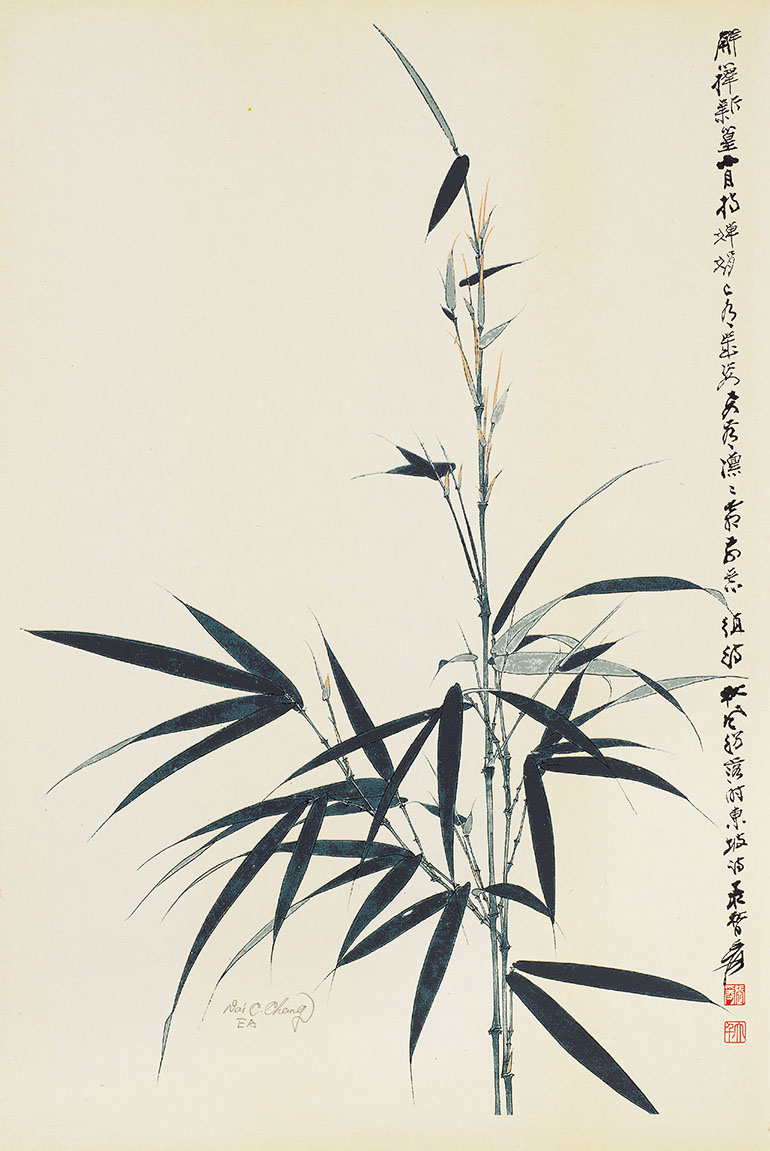竹节节高EA