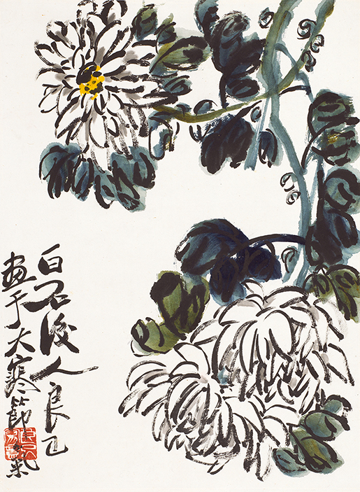 菊花图