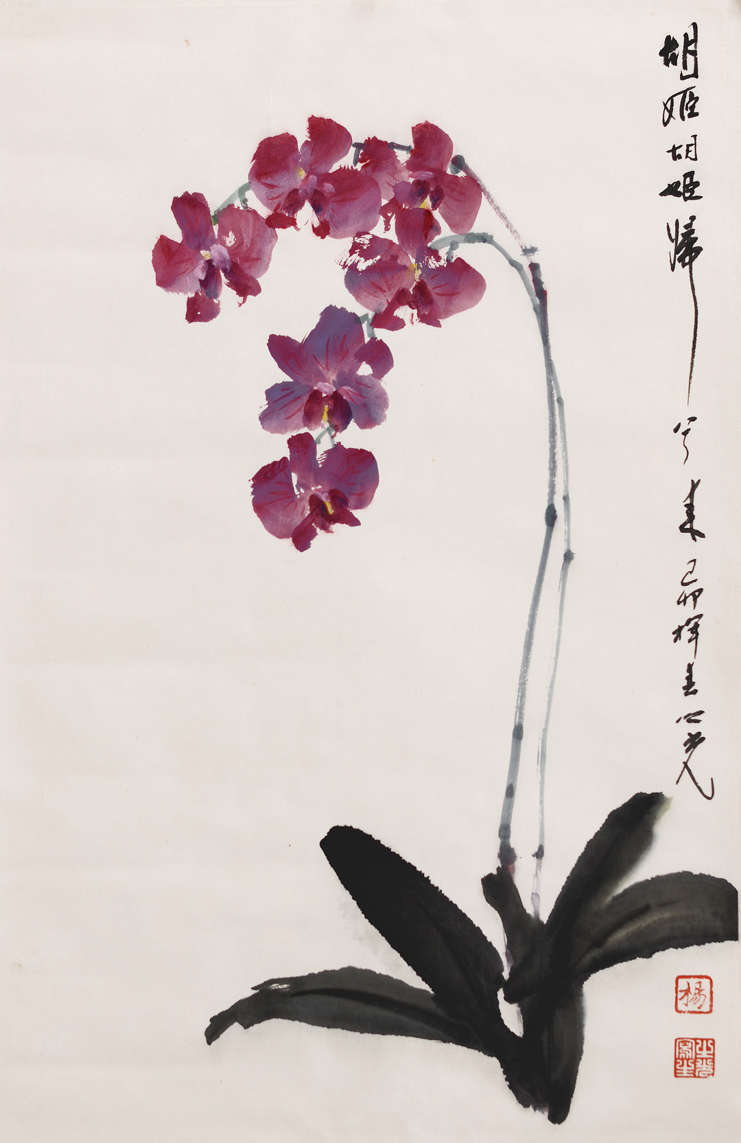 胡姬胡姬归兮来