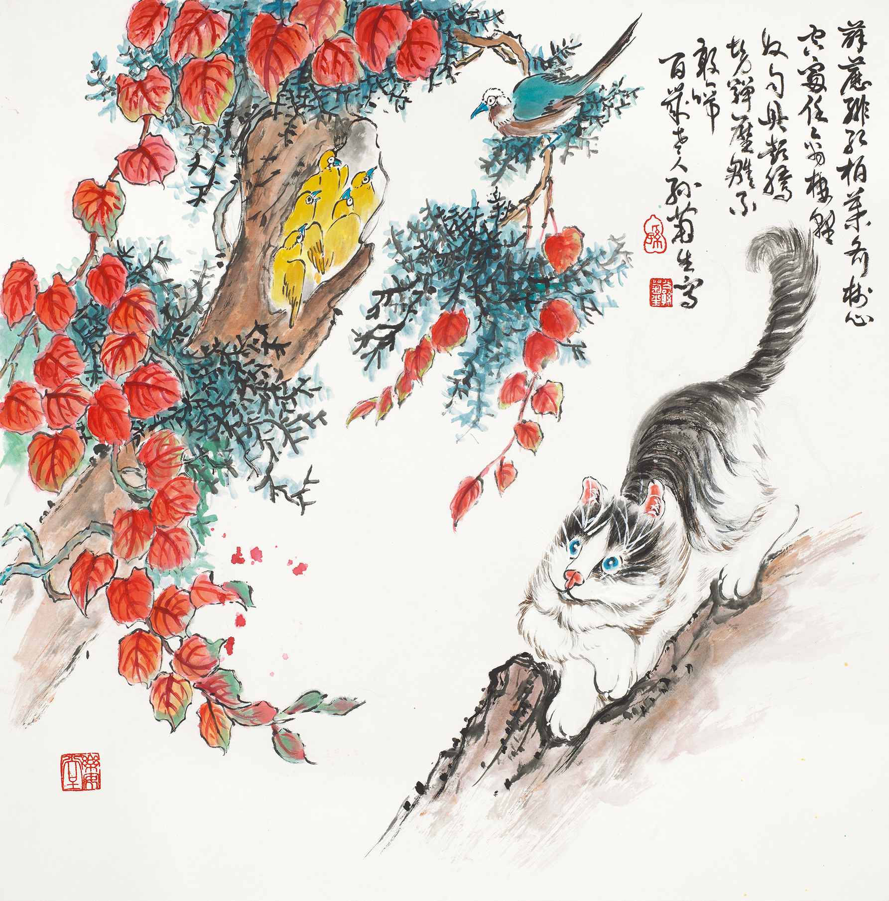 猫趣图