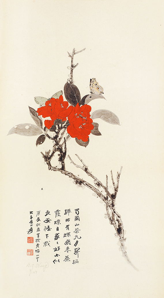 山茶花3/125