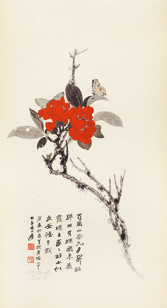 山茶花7/125