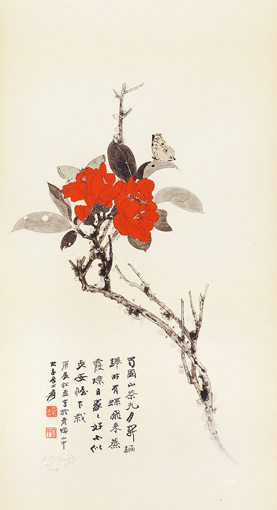 山茶花12/125