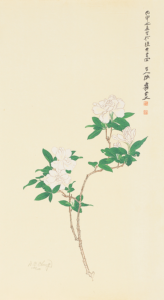 栀子花105/125