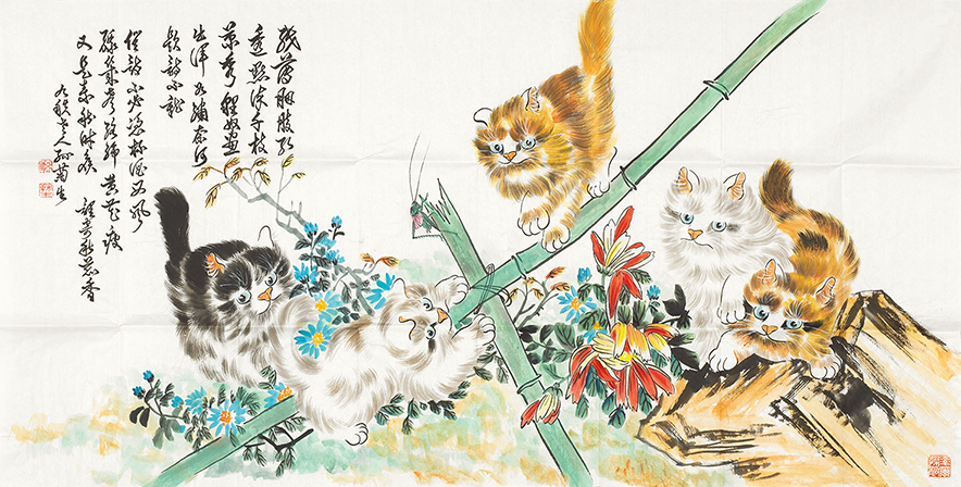 猫
