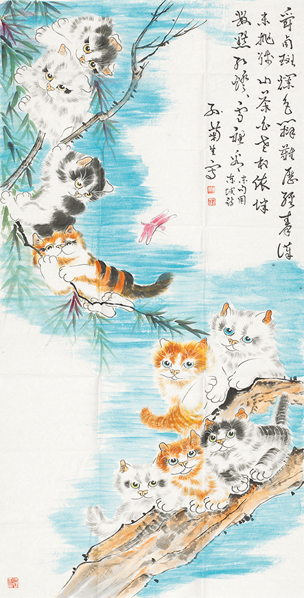 猫