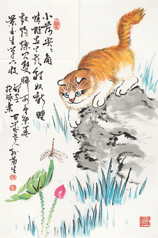 猫