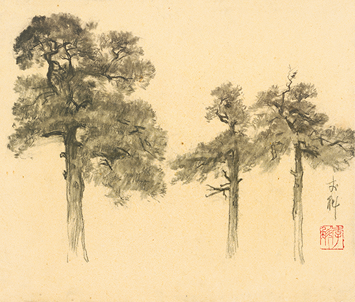 1959年《三棵树》