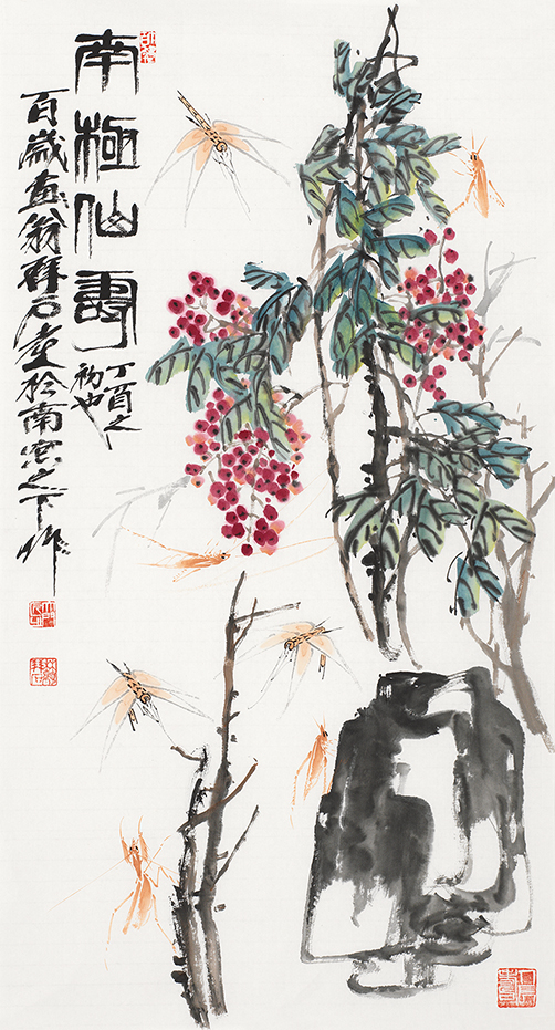 南极仙寿