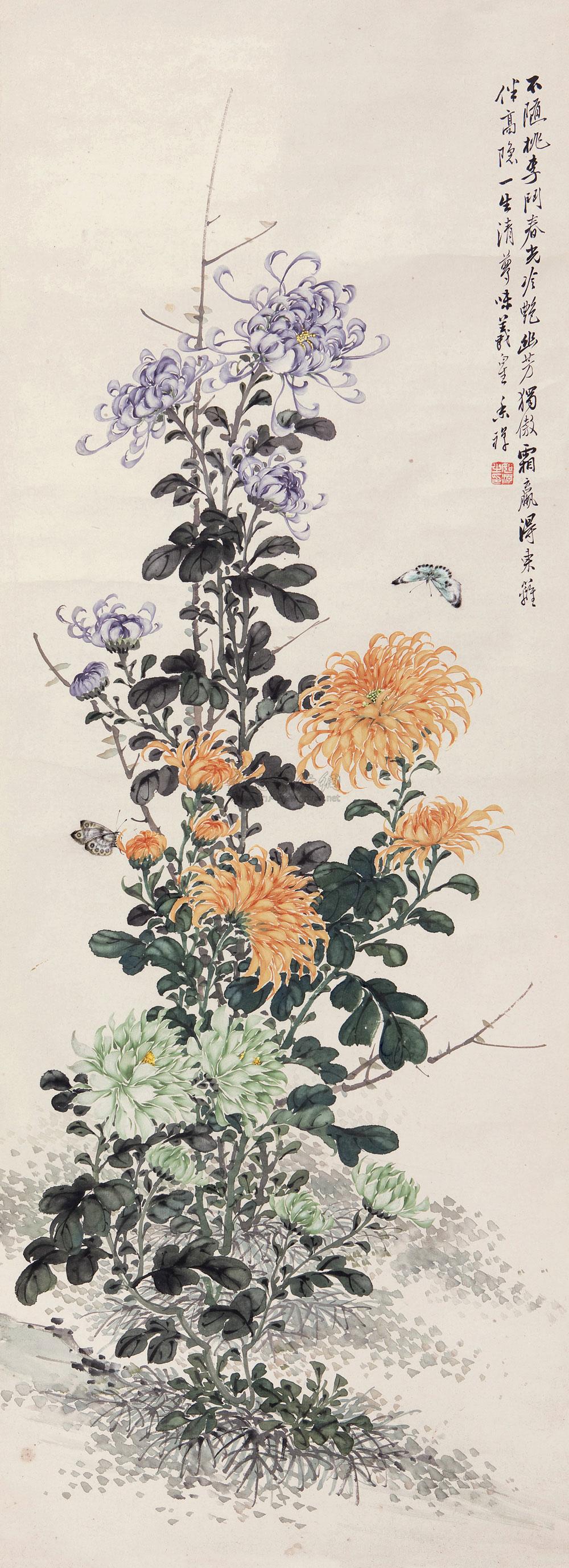 0558菊花立轴纸本