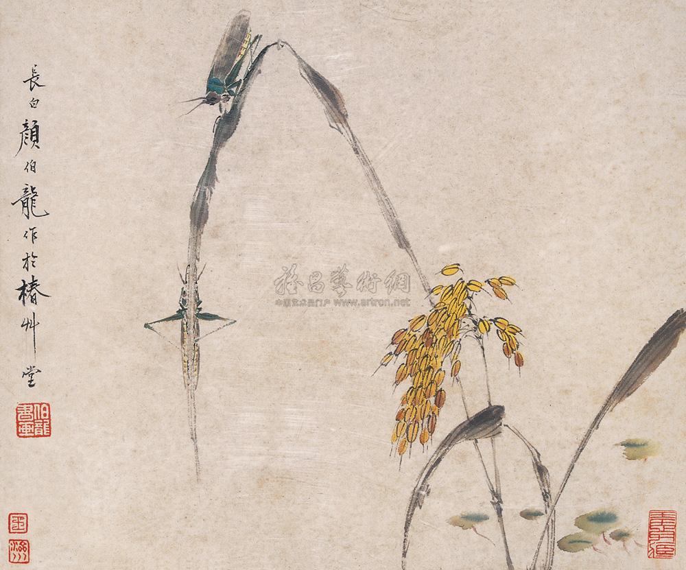 0328蝗虫镜心设色纸本