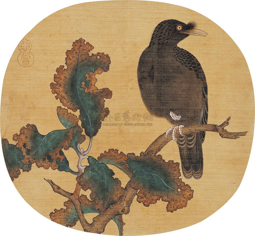 1173 鸜鹆 镜心 绢本