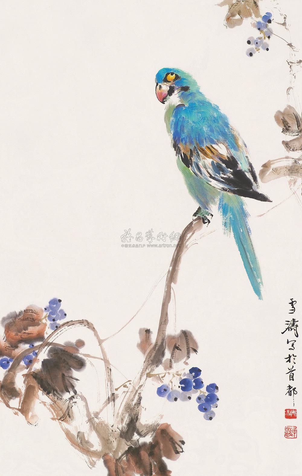 0487 葡萄鹦鹉 立轴 设色纸本