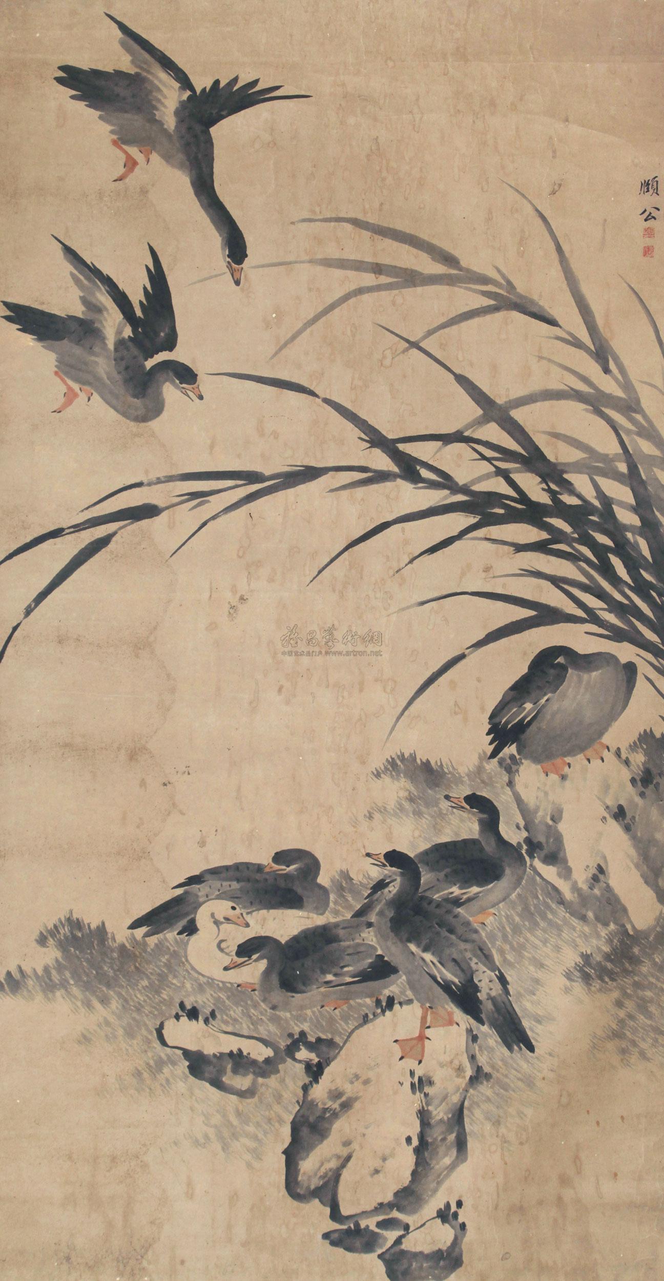 0814芦塘雁镜心纸本