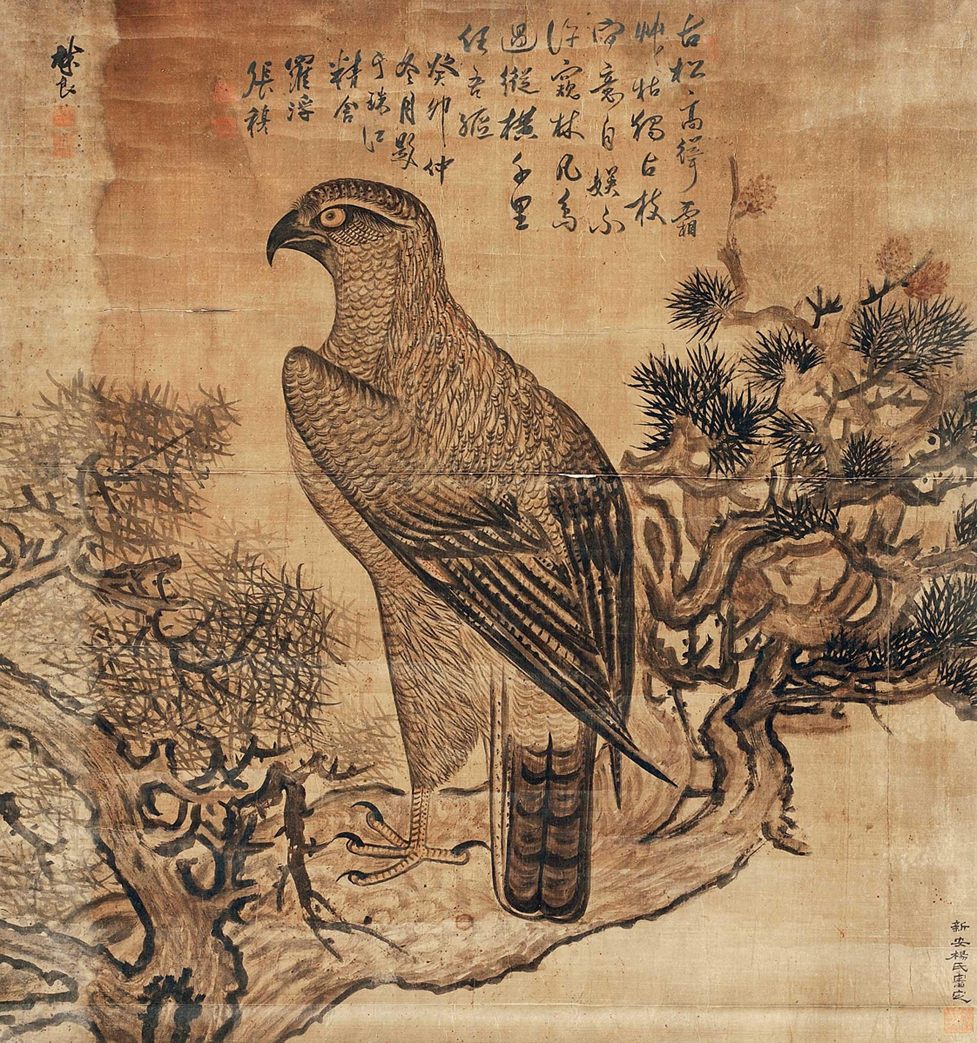 0486 雄鹰图 立轴 设色绢本