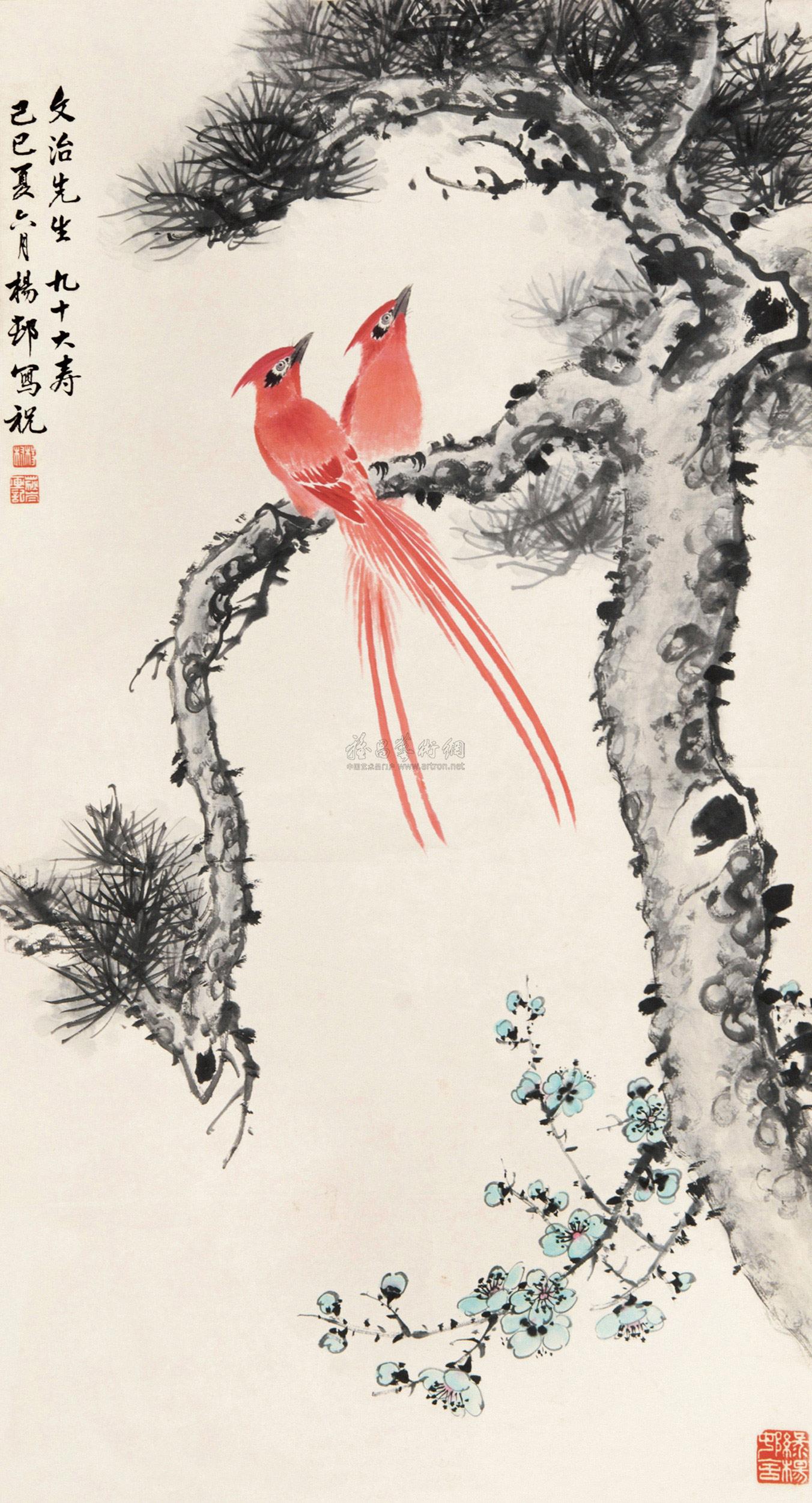 绶带鸟国画徐湛图片