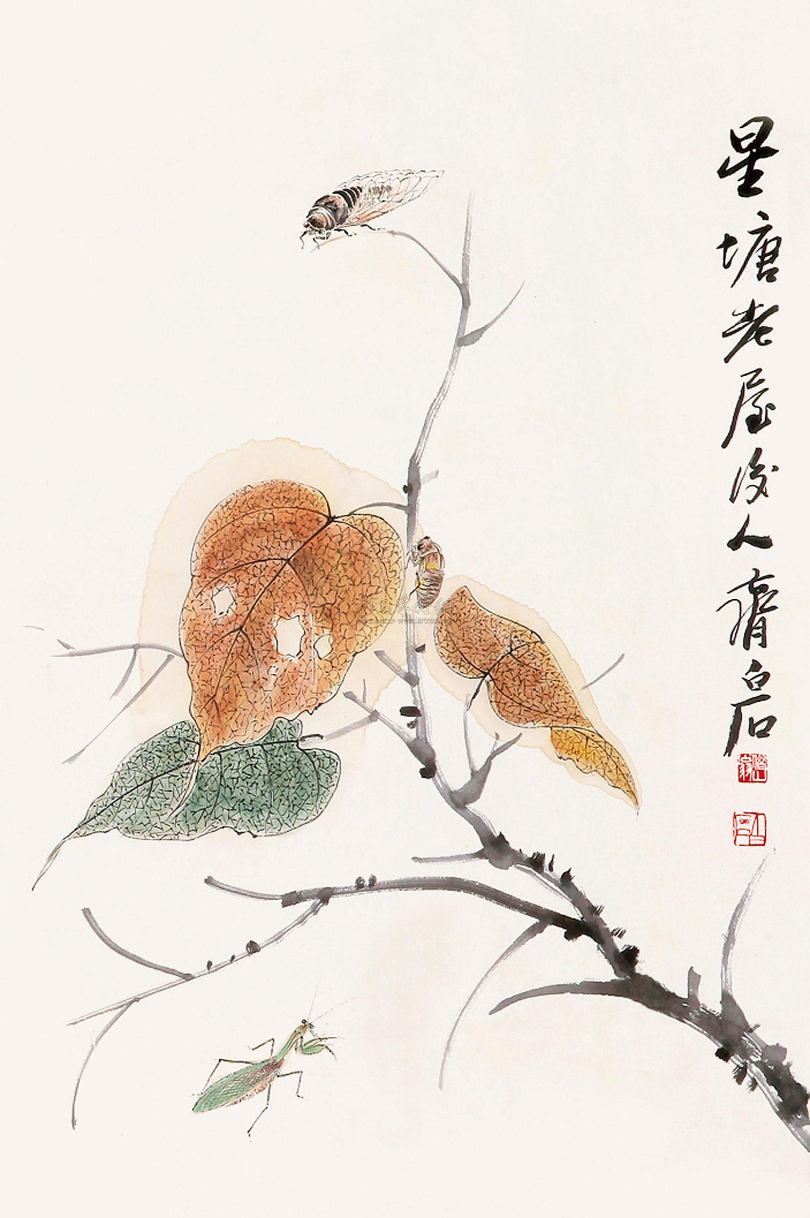 0645 秋蝉 镜心 纸本