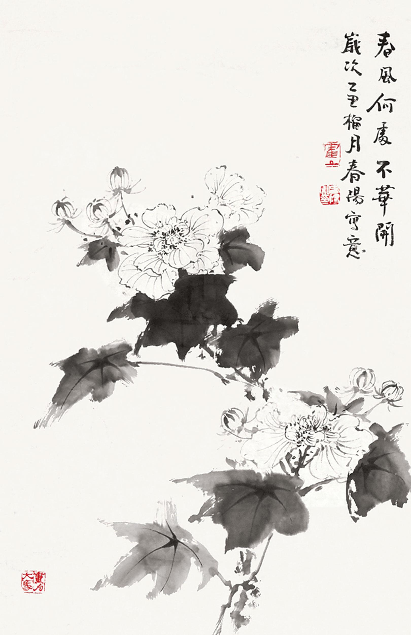 0467芙蓉镜片纸本