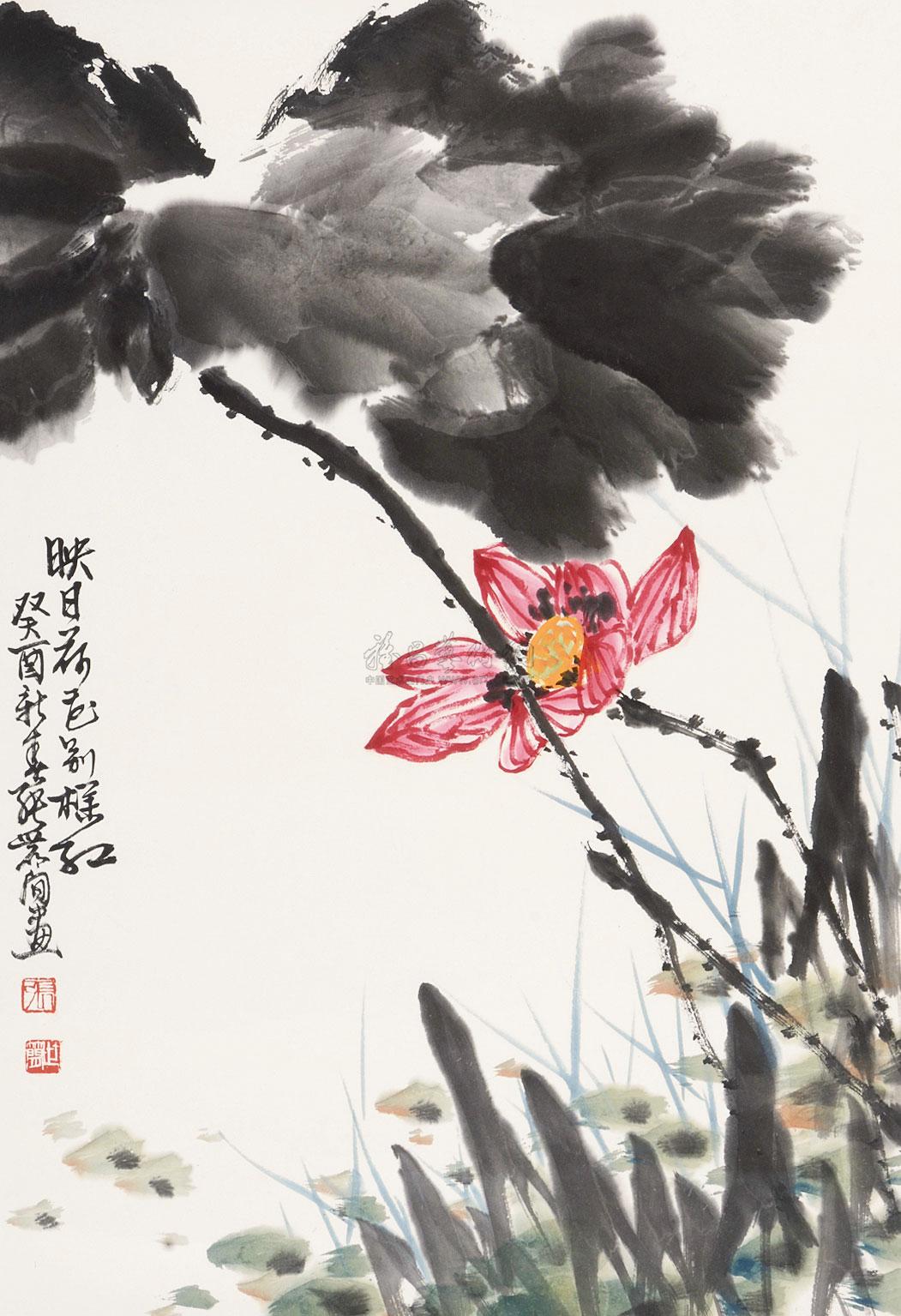 0041映日荷花别样红立轴设色纸本