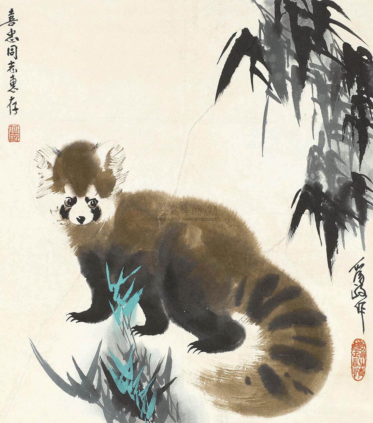 【小熊猫 立轴 设色纸本】拍卖品_图片_价格_鉴赏_绘画_雅昌艺术品