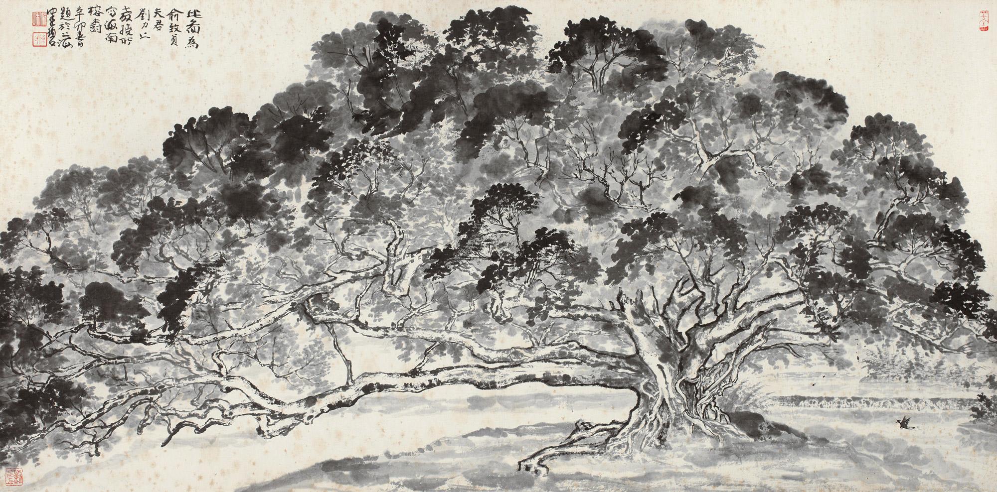 1638海南榕树镜心纸本