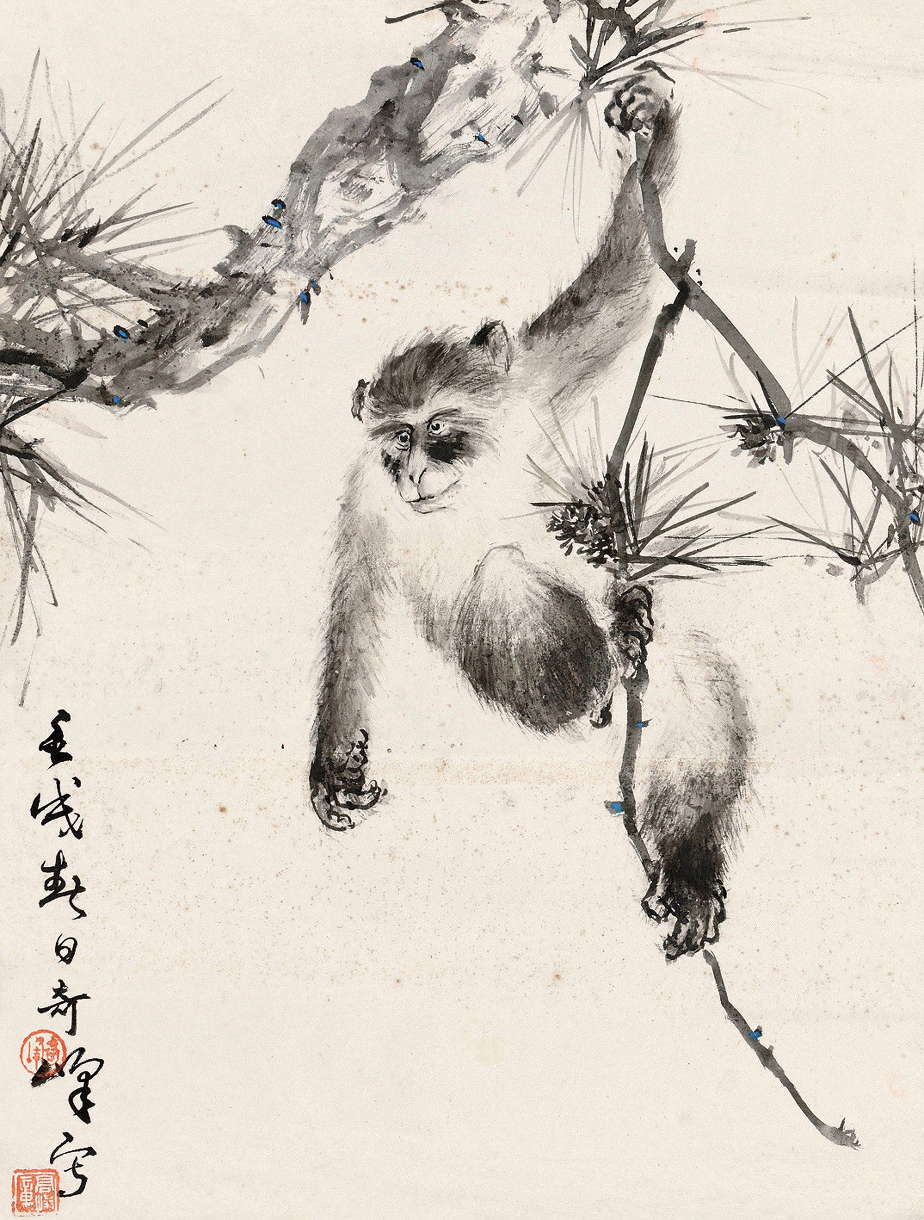 1180猴镜片