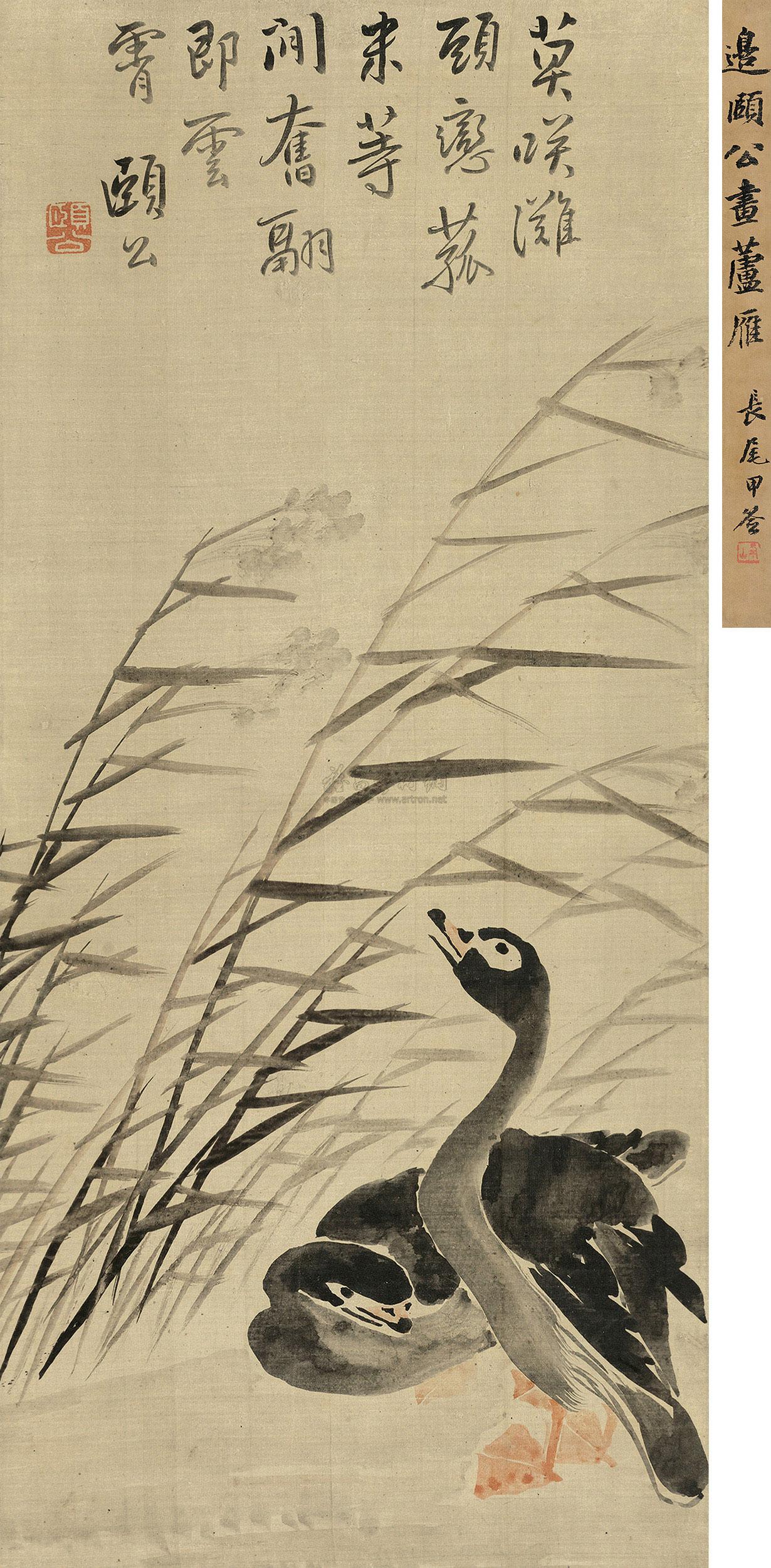 【芦滩闲雁 立轴 设色绢本】拍卖品_图片_价格_鉴赏_绘画_雅昌艺术品