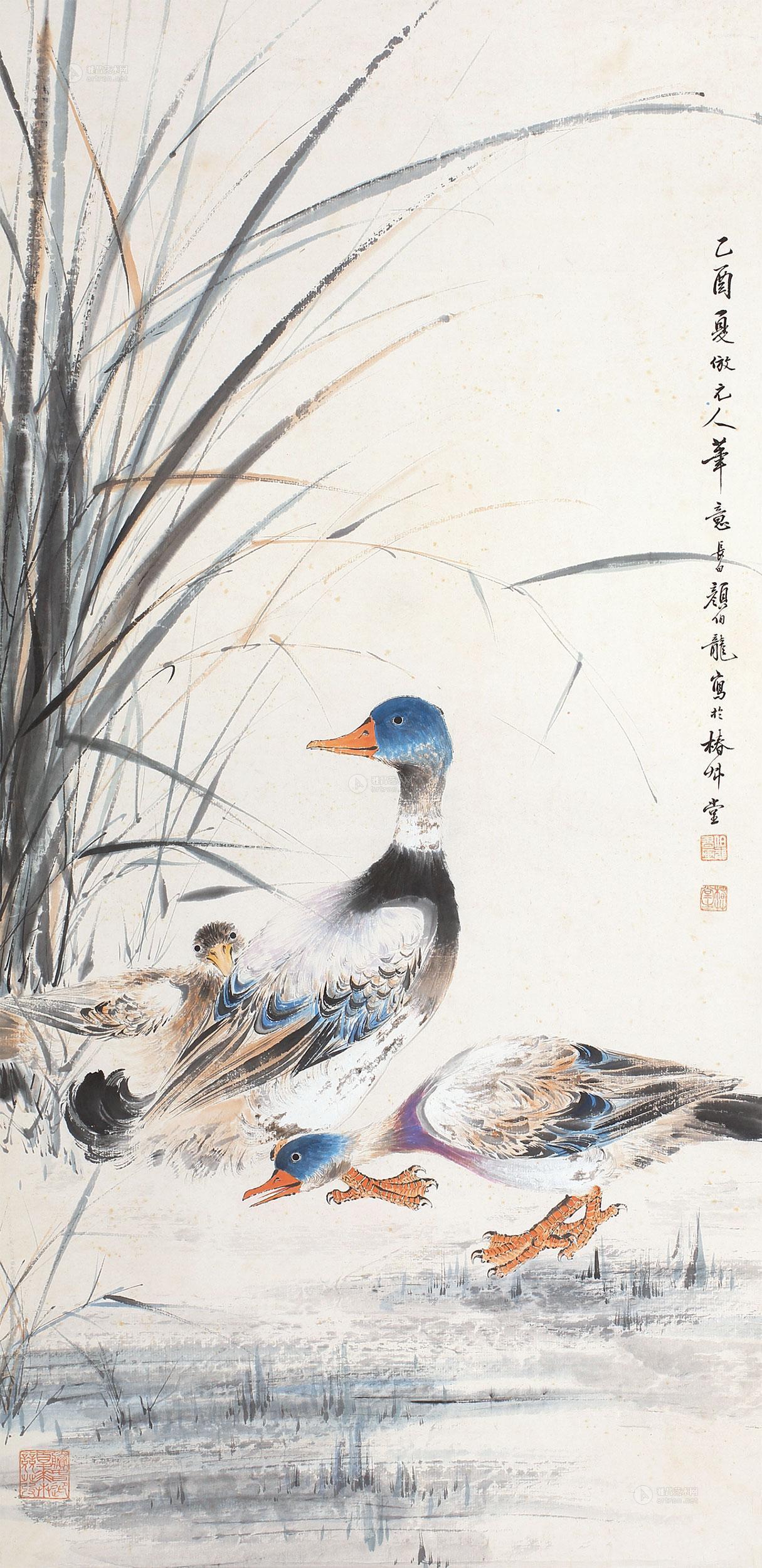 徐湛国画鸭子图片