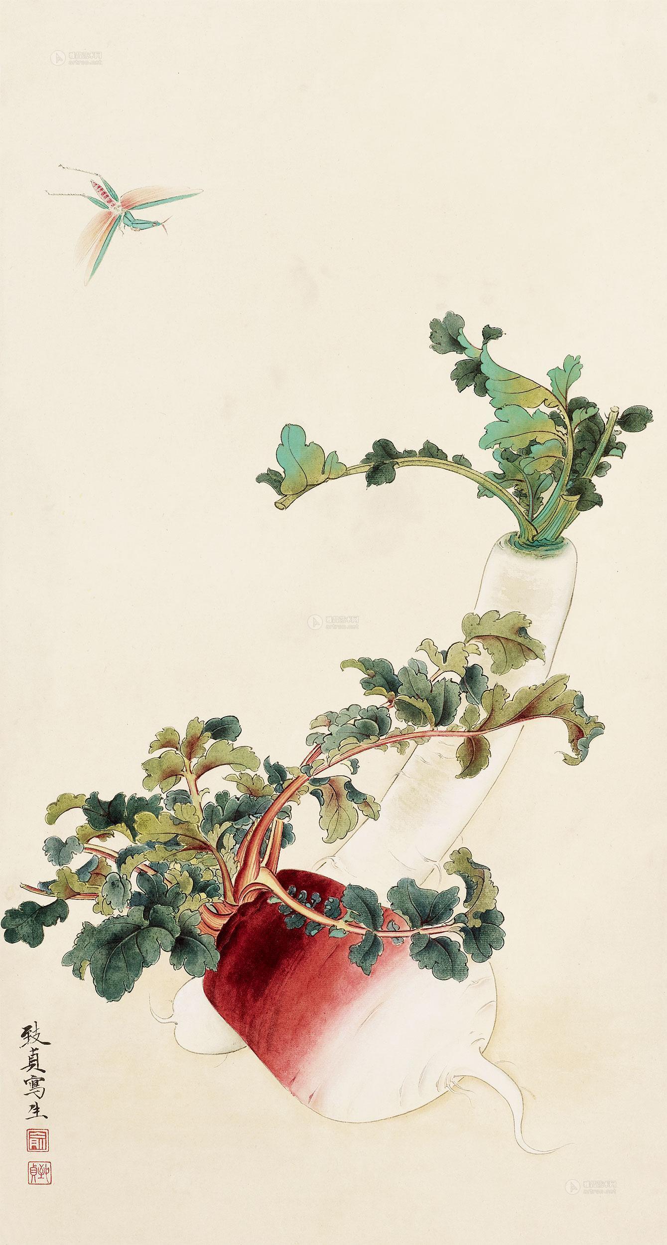 【萝卜草虫 镜片 设色纸本】拍卖品_图片_价格_鉴赏_绘画_雅昌艺术品