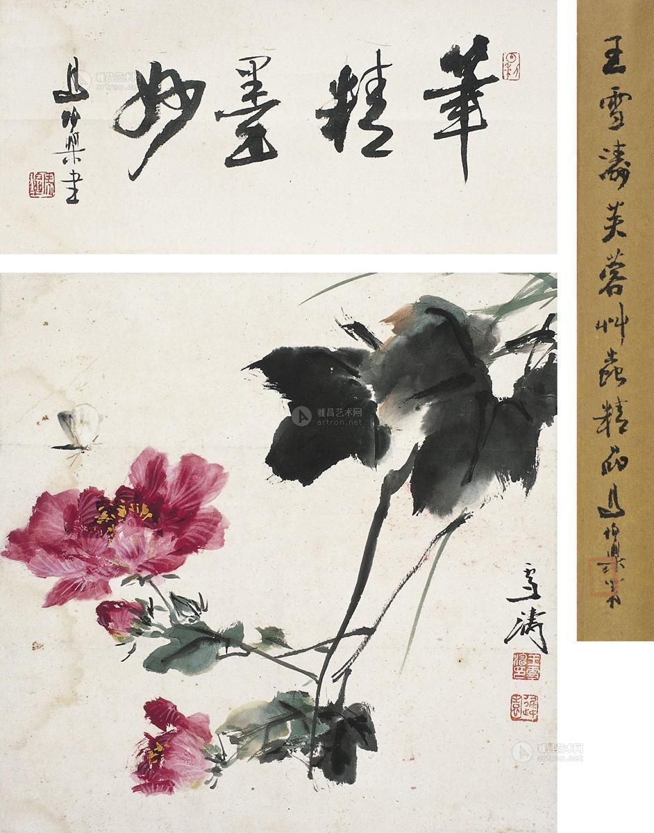 2713芙蓉飞蝶图立轴设色纸本