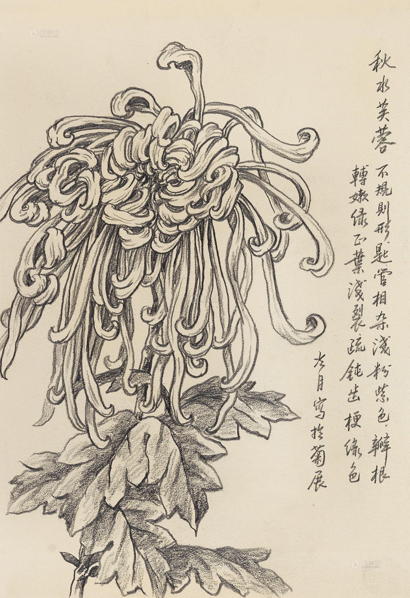 0307秋水芙蓉纸本素描