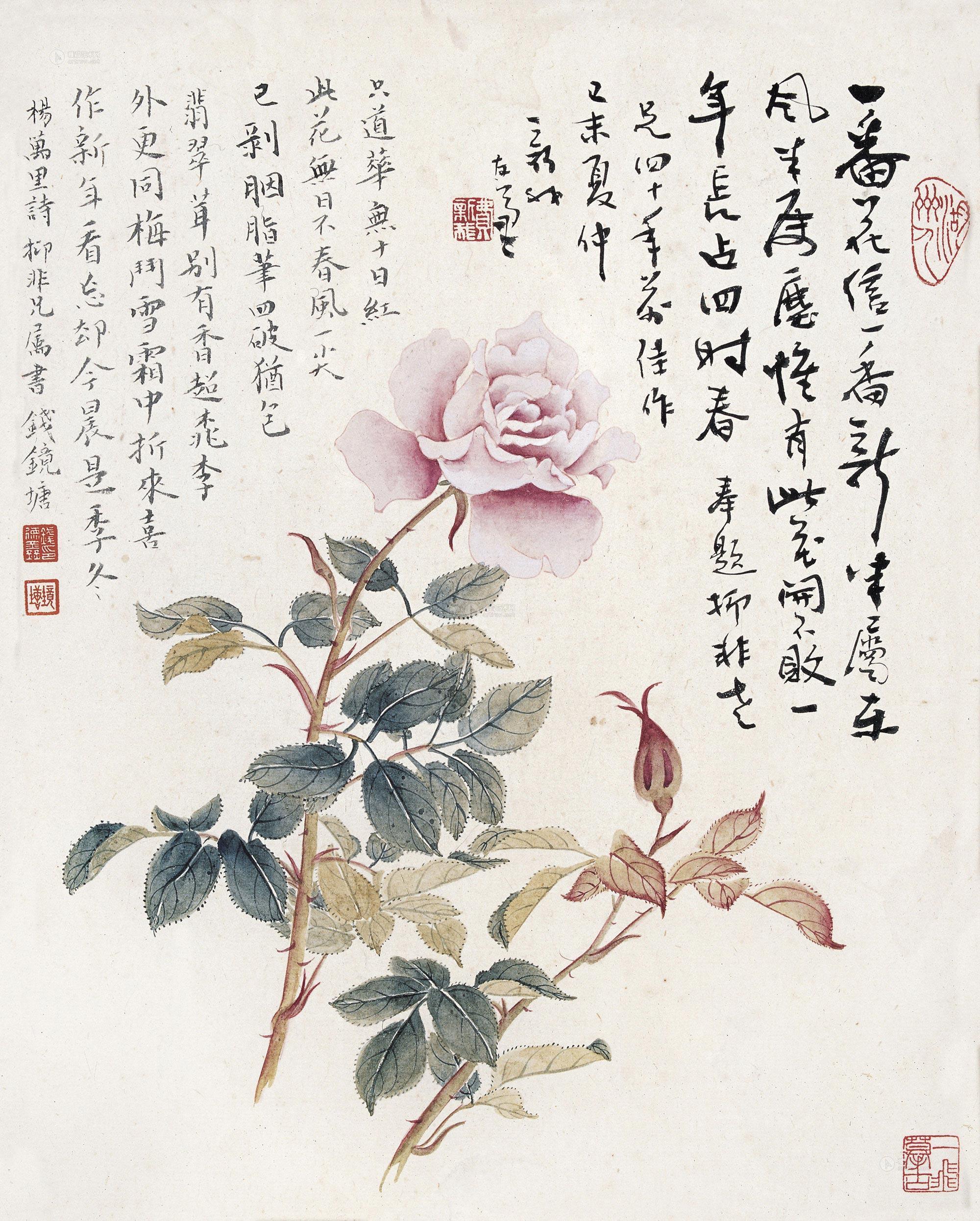 0415月季镜心设色纸本