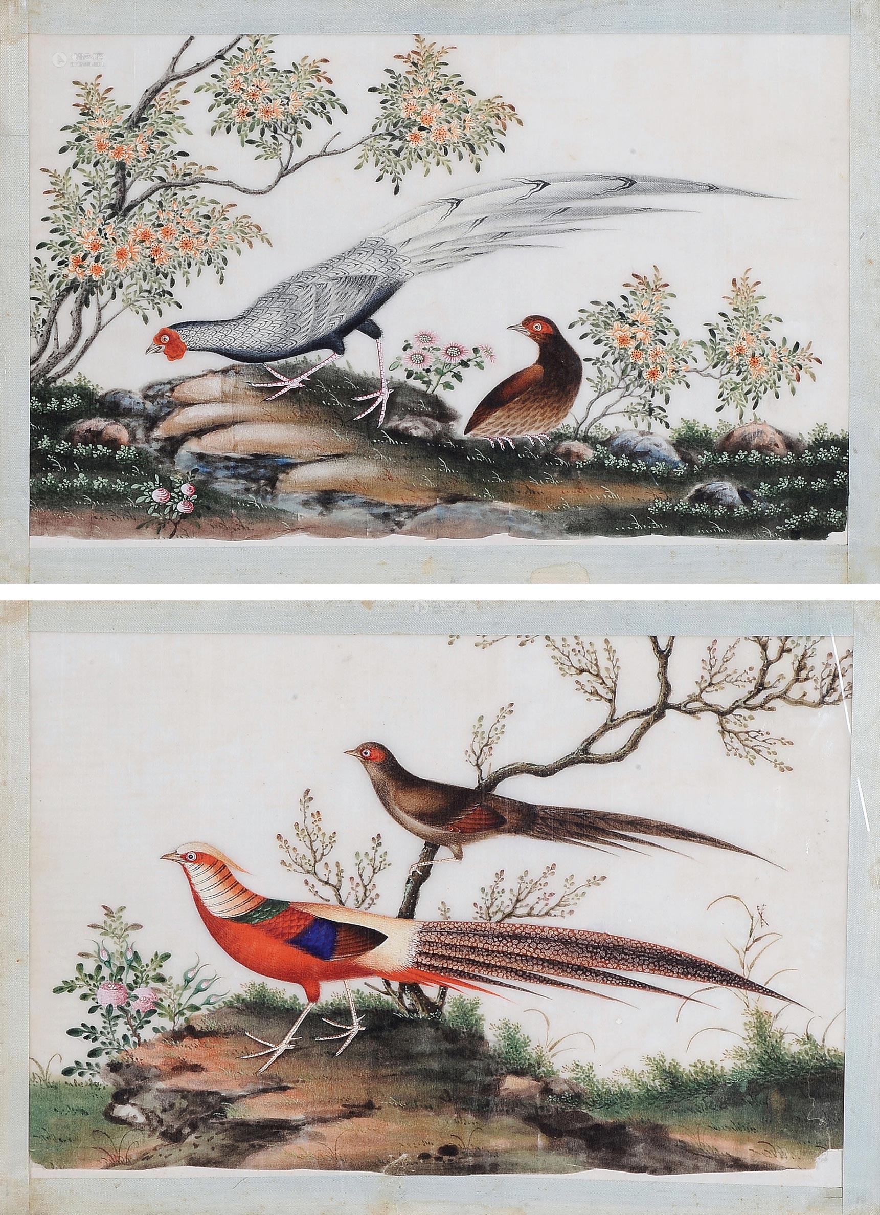 *0912 清 通草画锦鸡(一组二幅)